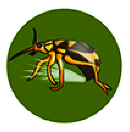 Bombarding Insect Bombastic Bombardier Beetles – My Favorite Animals ABC