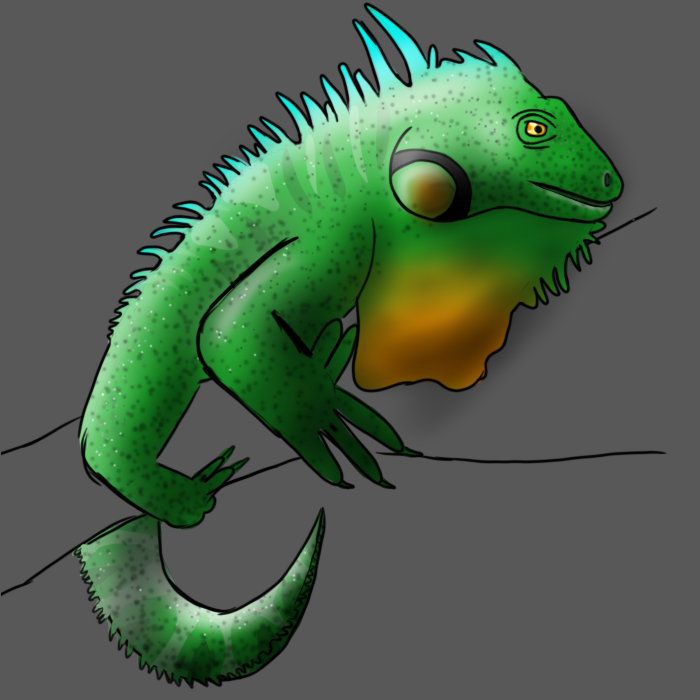 How to draw an Iguana – My Favorite Animals ABC